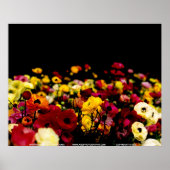 Poster Floralscape/JSKCA001 (Devant)