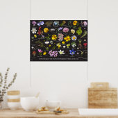 Poster Flore alpine de Sawtooth (Cuisine)