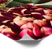 Poster Flore bourguignonne et floue (Coin)