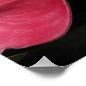 Poster Flore de feuille de monstère variable (Coin)