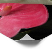 Poster Flore de feuille de monstère variable (Coin)