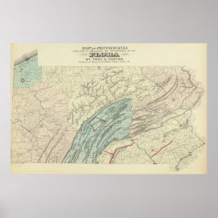 Poster Flore de Penn