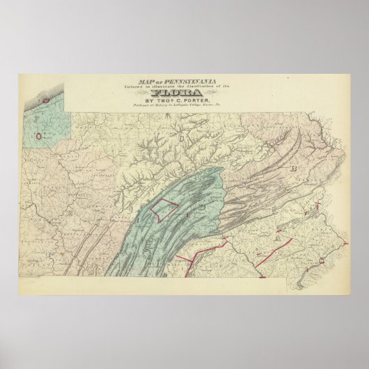 Poster Flore de Penn (Devant)