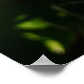 Poster Flore de printemps Blue Hyacinth II (Coin)