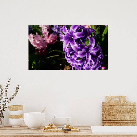 Poster Flore de printemps Blue Hyacinth II (Cuisine)