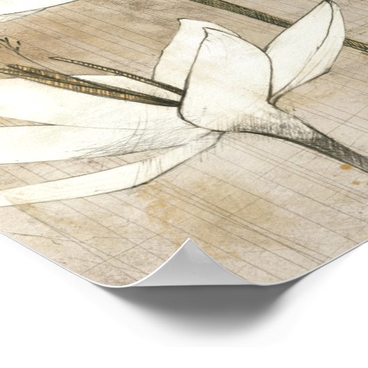 Poster Flore dessinée par crayon (Coin)