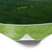 Poster Flore du coeur blanc saignant (Coin)