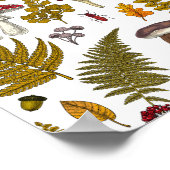 Poster Flore et faune boisées 2 (Coin)