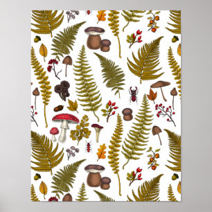 Poster Flore et faune boisées 2