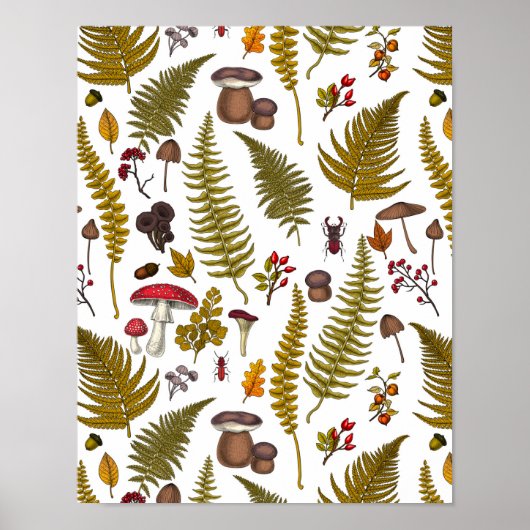 Poster Flore et faune boisées 2 (Devant)