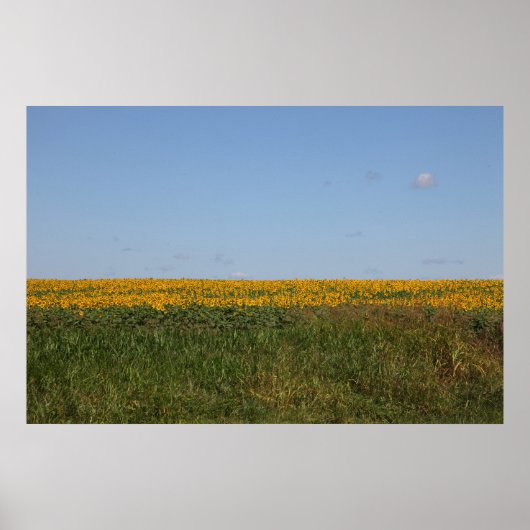 Poster Flore floral (Devant)