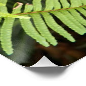 Poster Flore rouge Laceleaf (Coin)