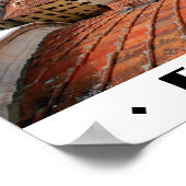 Poster Florence / Florence (Coin)