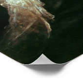 Poster Florence Nightingale (Coin)