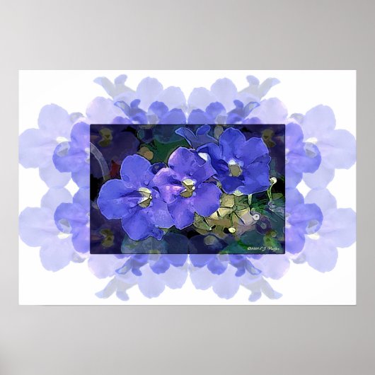 Poster 'Flores Azuis' (Fleurs Bleues) (Devant)