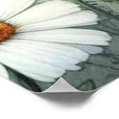 Poster Flores florales du printemps et de l'été (Coin)