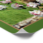 Poster Flores rose et blanche printanière Abstraites (Coin)