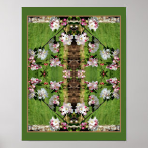 Poster Flores rose et blanche printanière Abstraites