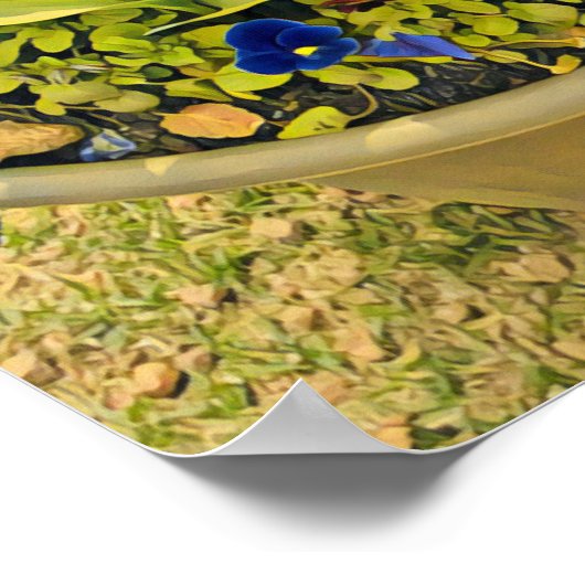 Poster Floriade Canberra festival de fleurs imprimer tuli (Coin)