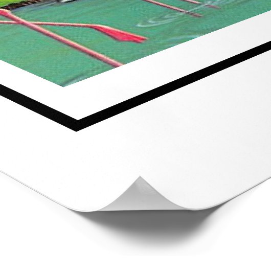 Poster Florida Attraction Map (Hoek)