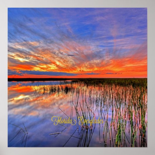 Poster Florida Everglades, panorama pittoresque, (Devant)