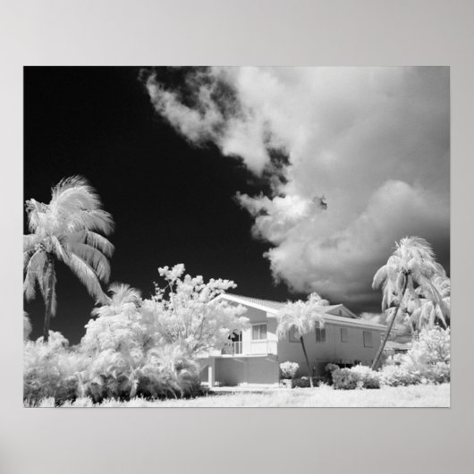 Poster Florida Keys house et ses palmiers, USA. (Devant)