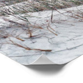 Poster Florida Panhandle Beach (Coin)