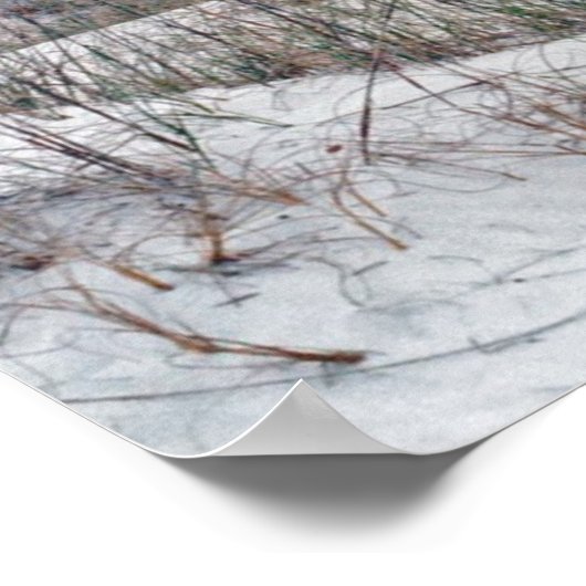 Poster Florida Panhandle Beach (Coin)