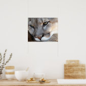 Poster Florida Panther (4071) (Cuisine)