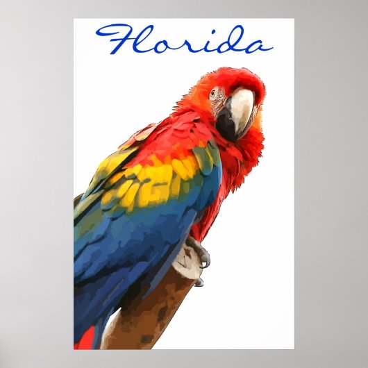 Poster Florida Scarlet Macaw (Devant)