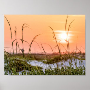 Poster Florida Sea Oats Sunrise