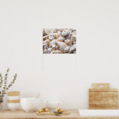 Poster Florida Sea Shell Arrière - plan - Beach Shells Cu (Cuisine)