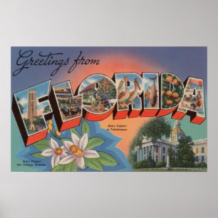 Poster Florida (State Capital Scene)