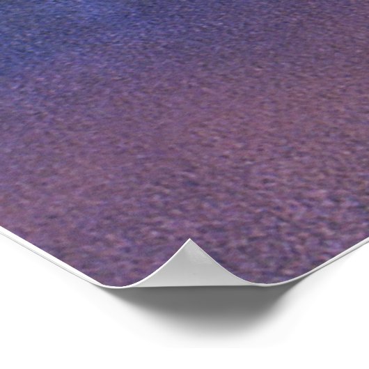 Poster Floride (Coin)