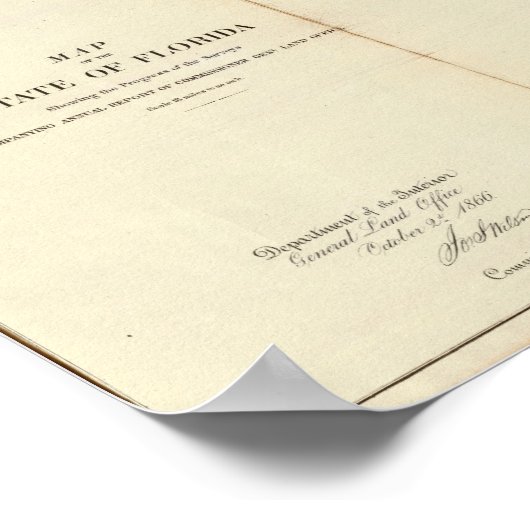 Poster Floride 11 (Coin)