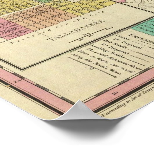 Poster Floride 12 (Coin)