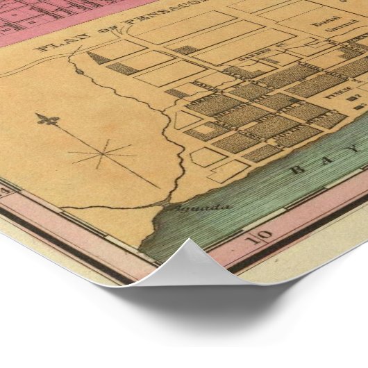 Poster Floride 12 (Coin)