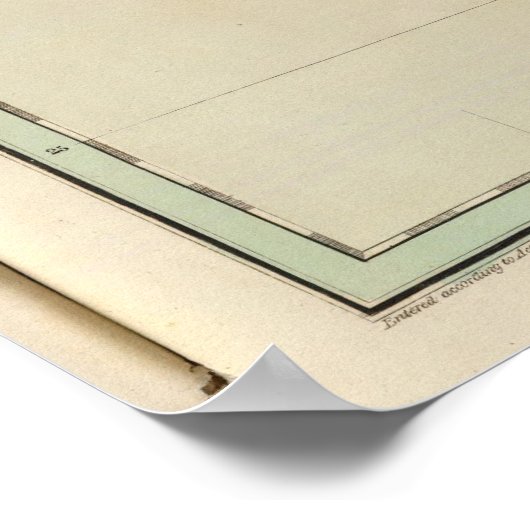 Poster Floride 2 (Coin)