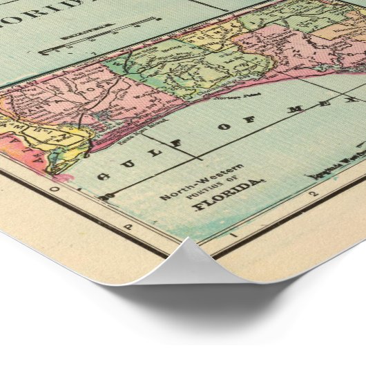 Poster Floride 4 (Coin)