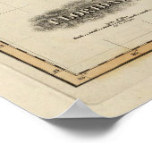 Poster Floride 6 (Coin)