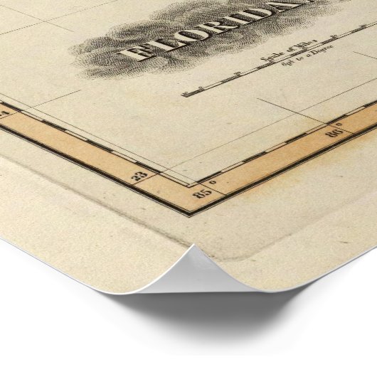 Poster Floride 6 (Coin)