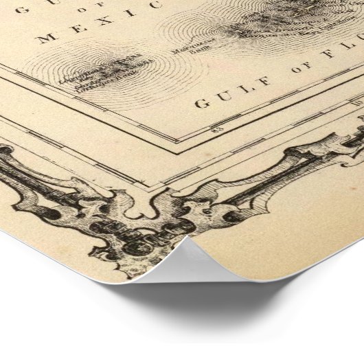 Poster Floride 6 (Coin)