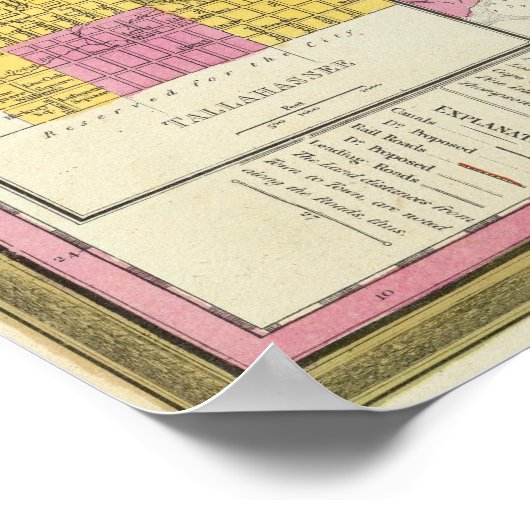 Poster Floride 7 (Coin)