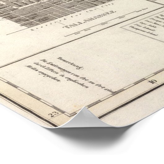 Poster Floride 8 (Coin)