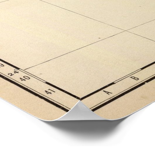 Poster Floride 9 (Coin)