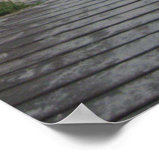 Poster Floride Beach Path (Coin)