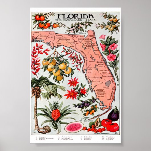 Poster Floride - Carte de l'État des Everglade (Devant)
