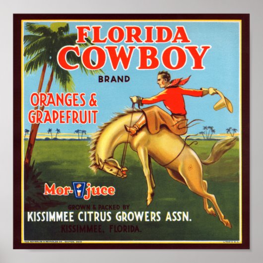 Poster Floride Cowboy (Devant)