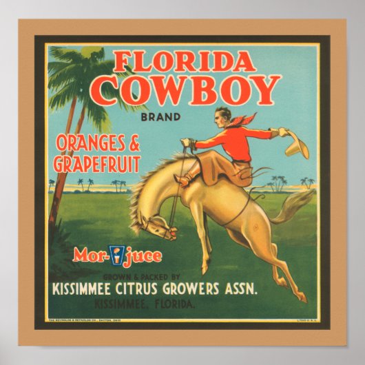 Poster Floride Cowboy (Devant)