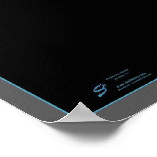 Poster Floride de l'affiche spatiale satellite (Coin)